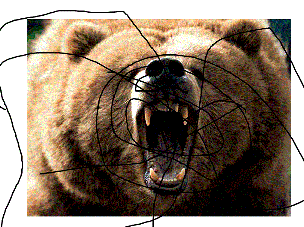 fierce bear growling